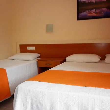 ホテル Fethiye Park 3*